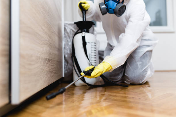 Best Rat Extermination Near Me  in Larchmont, NY
