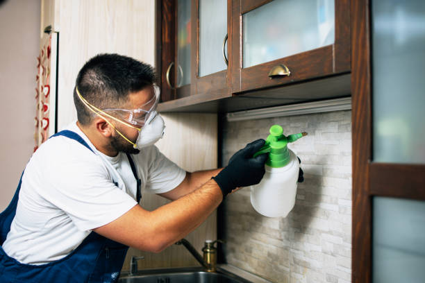 Best Residential Pest Control  in Larchmont, NY