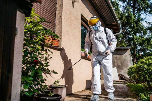 Best Best Pest Control Near Me  in Larchmont, NY