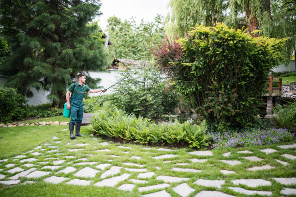 Best Mosquito Control Services  in Larchmont, NY