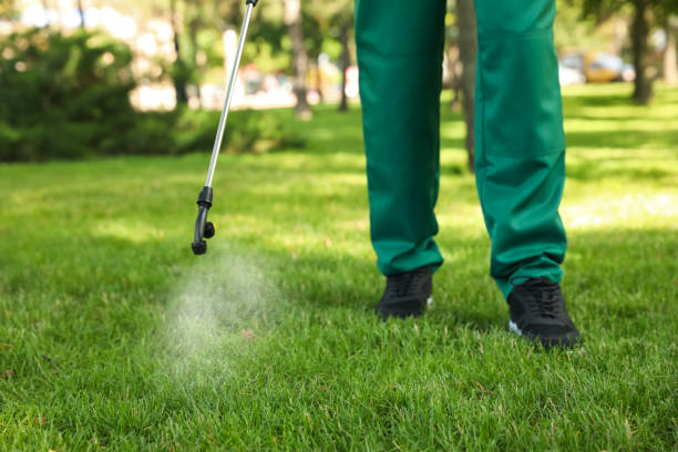 Best Exterminator Services  in Larchmont, NY
