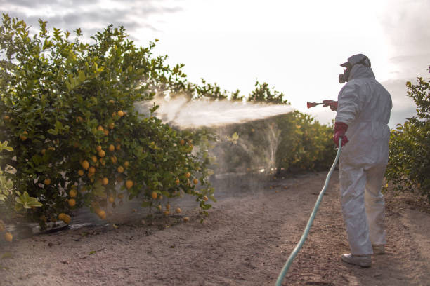 Best Bed Bug Extermination  in Larchmont, NY