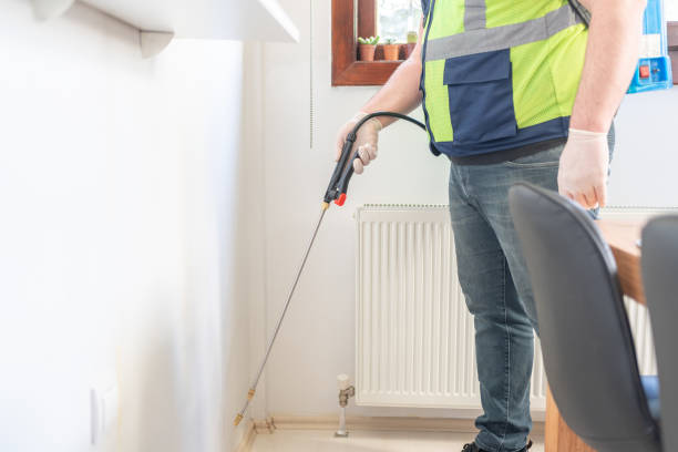 Wasp Removal Services in Larchmont, NY