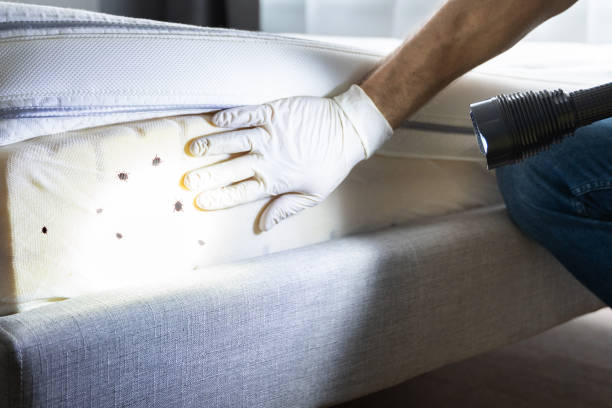 Best Best Pest Control Companies  in Larchmont, NY
