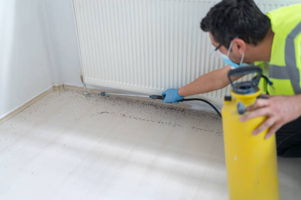 Best Ant Control Services  in Larchmont, NY